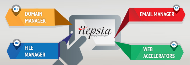 Website Management Website Management